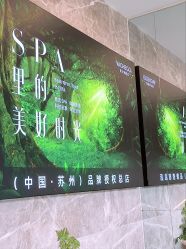 -阅年轻·AI家庭健康体质调理