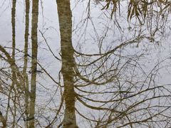 -中国天府农业博览园