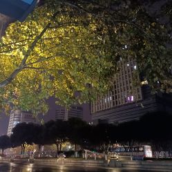 -大美母婴月子专护中心(紫峰店)