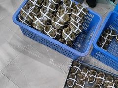 -品鲜村农家菜·阳澄湖大闸蟹(总店)