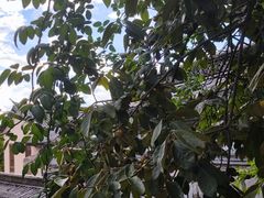 -苍山世界地质公园·石门关大峡谷