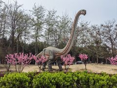 -青龙湖公园
