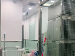 -宠福鑫康馨动物医院·骨科·眼科