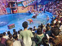 -烟台海昌鲸鲨海洋公园