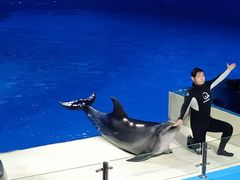 -石家庄极地海洋世界