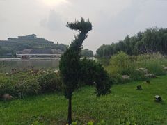 -河北省园博园