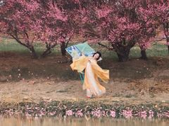 -苏州盘门景区人民桥南地铁站亚朵X酒店