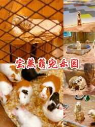 -宝燕乐园(闵行旗舰店)