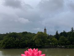 -徽园