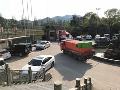 -正源安吉白茶特产享购商场(安吉店)