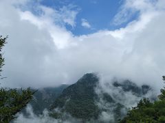 -牛背梁国家森林公园