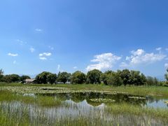 -野鸭湖国家湿地公园