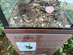 -南宫五洲植物乐园