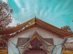 -上海海湾国家森林公园