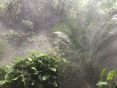 -呀诺达热带雨林