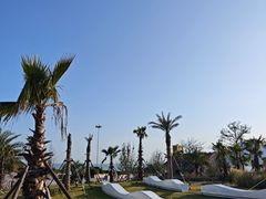 -朱家尖南沙景点