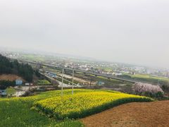 -普惠体检中心(西安曲江体检中心)