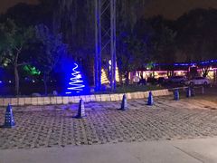 -枫花园汽车电影院(朝阳公园店)