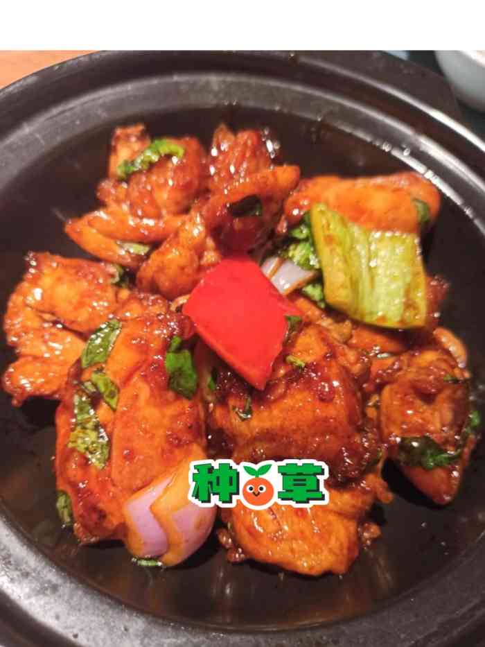 鹿桃·新粤菜(益田假日店)-"没敢多点,无油鱼汤煮时蔬确实好吃,三杯鸡