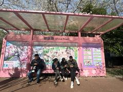 -高东镇樱花园