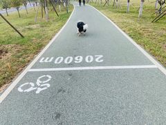 -洨河生态公园