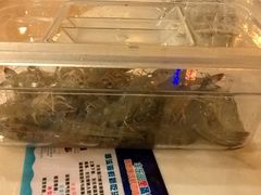 -丰乐园大酒店