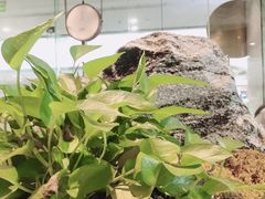 -赠李白·如诗的川味(余杭万达广场店)