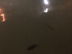 -三江森林温泉度假区