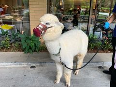 -南宁荔园维景国际酒店·荔园中餐厅