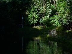 -云南屏边大围山国家公园