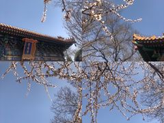 -北海公园