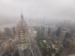 -上海柏悦酒店·世纪100牛排馆