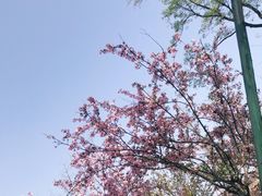 -府河摄影公园