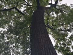 -北京上方山国家森林公园