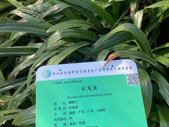 -广东中医药博物馆