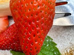 -oh! by FINE cafe&canteen
