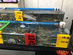 -渔民船说·北塘海鲜·天津菜·海肠捞饭(北塘古镇店)