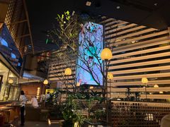 -桂满陇·海市蜃楼·黑金(国金店)