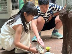 -正佳雨林生态植物园