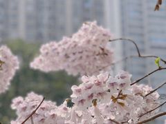 -红星桥(地铁站)