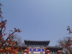 -摔碗酒(永兴坊店)