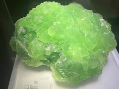 -湖南省地质博物馆