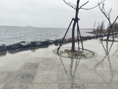 -春花秋色城市公园