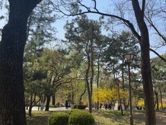 -元大都城垣遗址公园