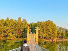 -东湖落雁景区
