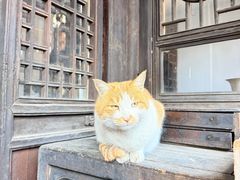 -鸡鸣驿城