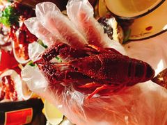 -虾弄弄海派小龙虾·牛羊蝎子火锅