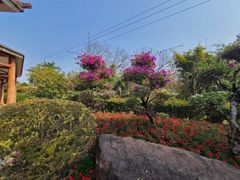 -广州莲花山旅游区
