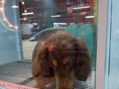 -FAELING PETS美天灵宠物(合生汇店)