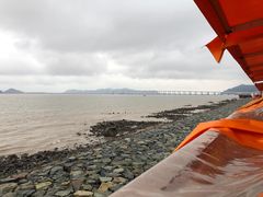 -沈家门海鲜夜排档(东港店)